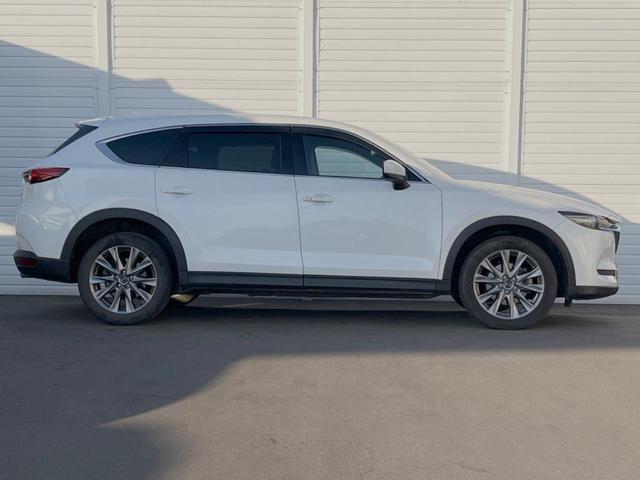 ＣＸ－８ ＸＤプロアクティブ　メーカー純正ナビ　３６０°ビューモニター　後席モニター　レーダークルーズ　ステアリングヒーター　ＥＴＣ　アドバンストキー　シートヒーター　ステアリングスイッチ　ＬＥＤヘッドライト（48枚目）