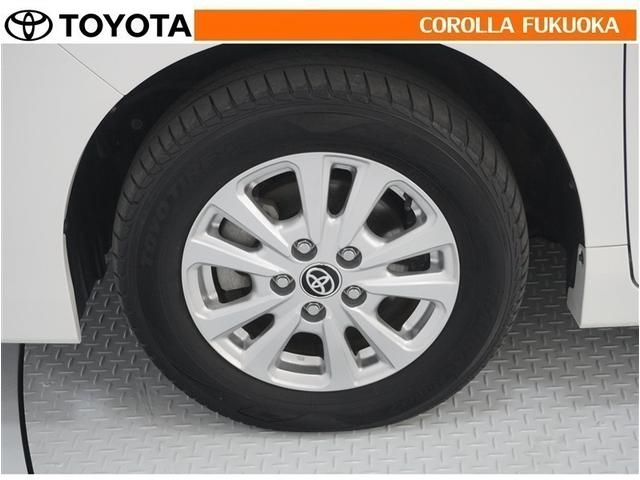 ���q�l�̃J�[���C�t���T�|�[�g�I���S�A���S�����b�g�[�ɁA���̂��Ԃ̔[�Ԏ��ɂ̓^�C�����S�{�V�i�����������܂��B