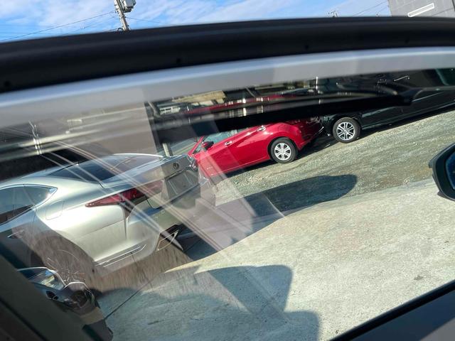 ���������܂��Đ��ɗL��������܂��I�I���񂲗��X���Ē����A���ۂɂ����ɂȂ��Ē�����΂Ǝv���܂��B���q�l����̂��A�����X�^�b�t�ꓯ�A�S��肨�҂����Ă���܂�