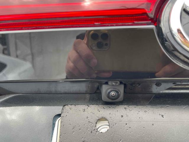 �����x�A���Ԃ��䗗���������B