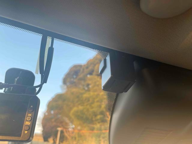 �����x�A���Ԃ��䗗���������B