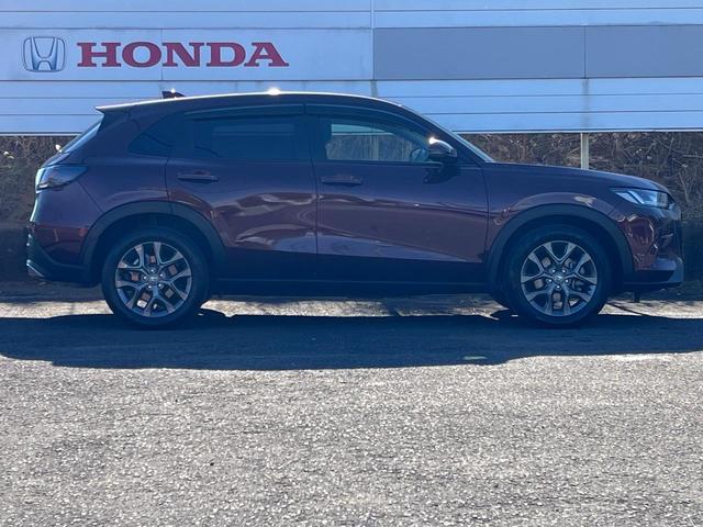 ���₩�ɁA�����ęz�X�����I�������h������͋������݊��I