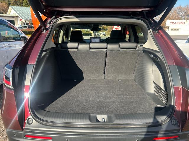 �g�����N���J���e�ʂ��傫���A���Q�b�W���[�����o�ꂵ�܂��I