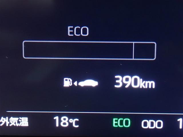 ヤリス Ｇ　バックカメラ　衝突被害軽減システム　ＬＥＤヘッドランプ　記録簿（18枚目）