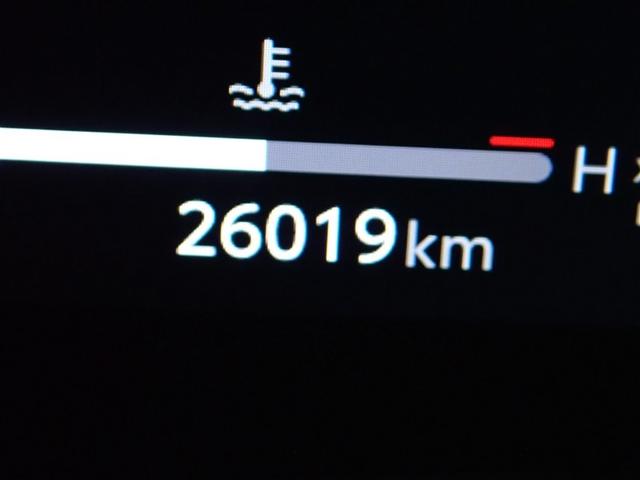 ヴェルファイア Ｚ　プレミア　革シート　サンルーフ　４ＷＤ　フルセグ　メモリーナビ　後席モニター　バックカメラ　衝突被害軽減システム　ＥＴＣ　ドラレコ　両側電動スライド　ＬＥＤヘッドランプ　乗車定員７人　３列シート（19枚目）