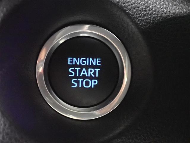 �d���o�b�N�h�A������������J�����R�Ƀ��N���N����