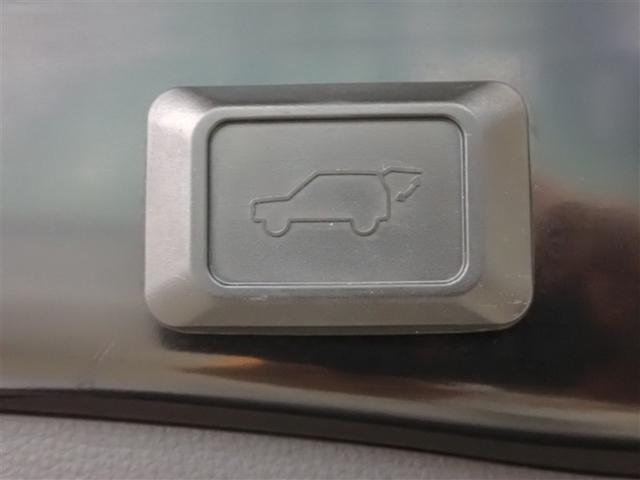 RAV4 ハイブリッドG 4WD フルセグ メモリーナビ DVD再生 バックカメラ 衝突被害軽減システム ETC ドラレコ LEDヘッドランプ 記録簿(31枚目)