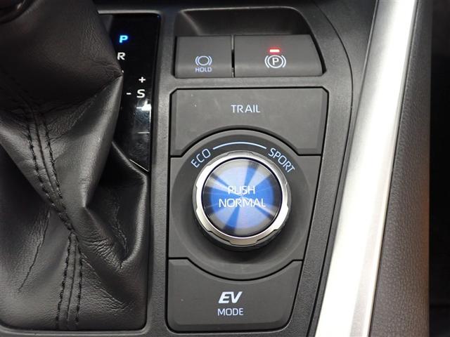 RAV4 ハイブリッドG 4WD フルセグ メモリーナビ DVD再生 バックカメラ 衝突被害軽減システム ETC ドラレコ LEDヘッドランプ 記録簿(37枚目)