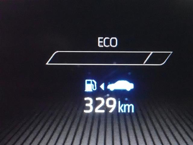 ���[�^�[���C���t�H���[�V����