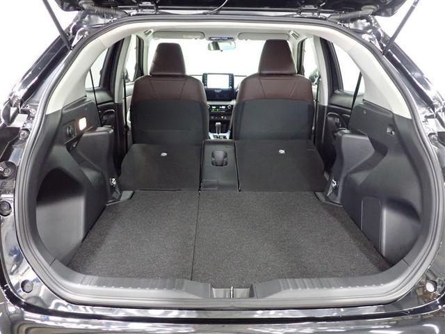 �V�[�g�����X�܂��Y��ɐ�򂵂Ă��܂�