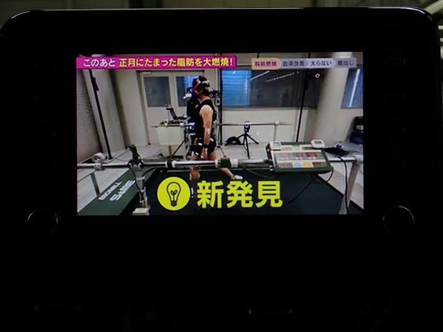 �t���Z�O�n�f�W�`���[�i�[����