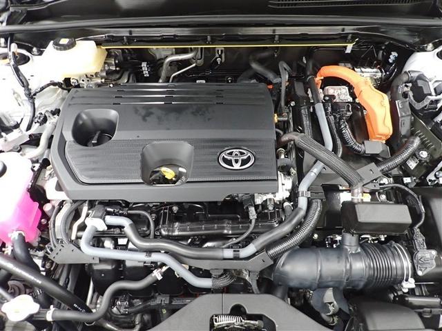 �{�f�B�A�����Ƃ��R�[�e�B���O��