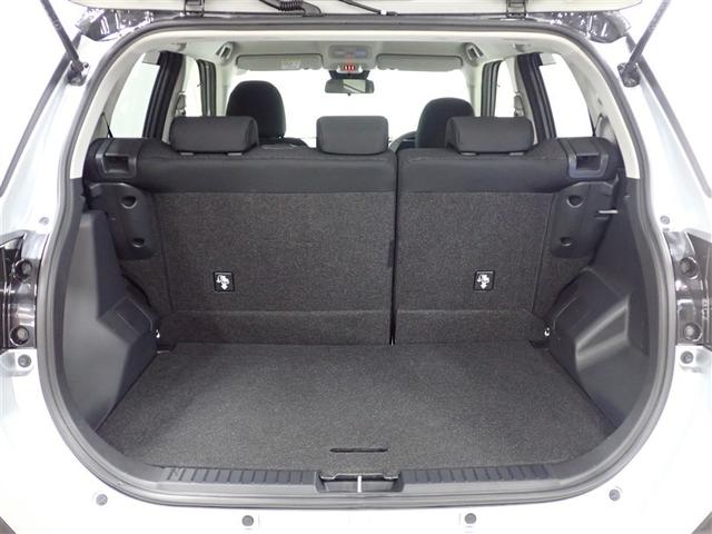 ライズ Ｚ　フルセグ　メモリーナビ　ＤＶＤ再生　バックカメラ　衝突被害軽減システム　ＥＴＣ　ＬＥＤヘッドランプ　記録簿　アイドリングストップ（11枚目）