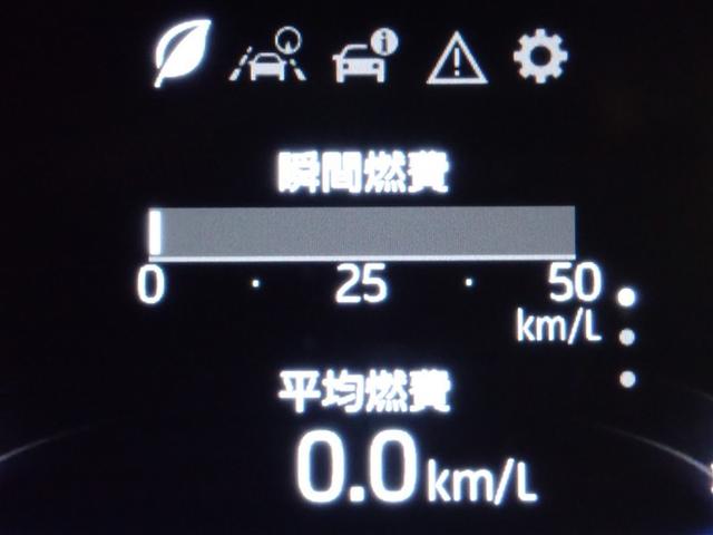 ライズ Ｚ　フルセグ　メモリーナビ　ＤＶＤ再生　バックカメラ　衝突被害軽減システム　ＥＴＣ　ＬＥＤヘッドランプ　記録簿　アイドリングストップ（17枚目）