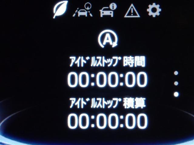 ライズ Ｚ　フルセグ　メモリーナビ　ＤＶＤ再生　バックカメラ　衝突被害軽減システム　ＥＴＣ　ＬＥＤヘッドランプ　記録簿　アイドリングストップ（19枚目）