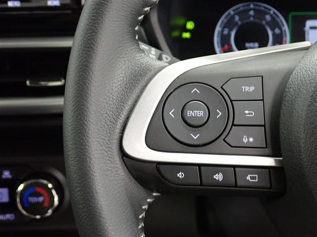 ライズ Ｚ　フルセグ　メモリーナビ　ＤＶＤ再生　バックカメラ　衝突被害軽減システム　ＥＴＣ　ＬＥＤヘッドランプ　記録簿　アイドリングストップ（29枚目）