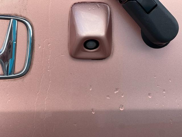 �y�o�b�N�J�����z���̂��Ԃ̓o�b�N�J�������������Ă���܂��̂ŁA�o�b�N�����ł������Ȃ��Ƃ������������f���Ă����̂ň��S���S�ɒ��Ԃ��ł��܂��B