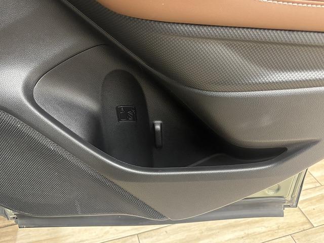 フォレスター アドバンス　サンルーフ／茶革／デジタルインナーミラー／ＤＩＡＴＯＮＥ８型ナビ地デジ／フロントサイドバックモニター／ＢＳＭ／追従クルコン／パワーシート／シートヒーター／パワーバックドア／ＬＥＤ／ＥＴＣ／スマートキー（45枚目）