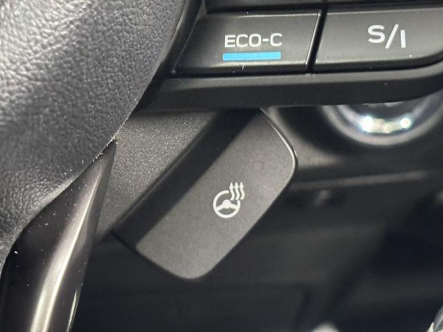 フォレスター アドバンス　サンルーフ／茶革／デジタルインナーミラー／ＤＩＡＴＯＮＥ８型ナビ地デジ／フロントサイドバックモニター／ＢＳＭ／追従クルコン／パワーシート／シートヒーター／パワーバックドア／ＬＥＤ／ＥＴＣ／スマートキー（53枚目）