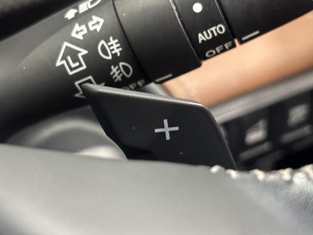 フォレスター アドバンス　サンルーフ／茶革／デジタルインナーミラー／ＤＩＡＴＯＮＥ８型ナビ地デジ／フロントサイドバックモニター／ＢＳＭ／追従クルコン／パワーシート／シートヒーター／パワーバックドア／ＬＥＤ／ＥＴＣ／スマートキー（56枚目）