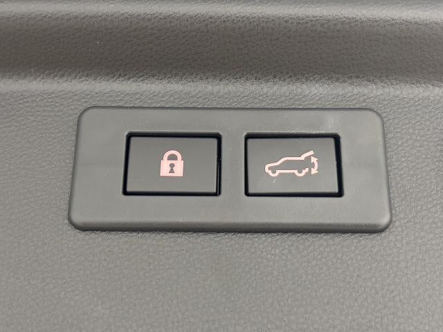 フォレスター アドバンス　サンルーフ／茶革／デジタルインナーミラー／ＤＩＡＴＯＮＥ８型ナビ地デジ／フロントサイドバックモニター／ＢＳＭ／追従クルコン／パワーシート／シートヒーター／パワーバックドア／ＬＥＤ／ＥＴＣ／スマートキー（72枚目）