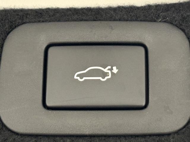 ＬＳ ＬＳ５００ｈ　Ｉパッケージ　サンルーフ／純正オプション２０インチＡＷ／純正１２．３型ナビ／全周囲／パワーシート／シートベンチレーション／ＢＳＭ／追従クルコン／衝突軽減／ヘッドアップディスプレイ／パワー（66枚目）