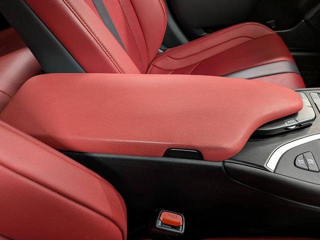 ＵＸ ＵＸ２５０ｈ　Ｆスポーツ　赤革シート／純正１０．３型ナビ地デジ／バックカメラ／ＥＮＫＥＩ１８インチＡＷ／追従クルコン／ＢＳＭ／パワーシート／シートヒーター／電動リアゲート／ＬＥＤヘッドライト／ＥＴＣ／オートハイビーム（27枚目）