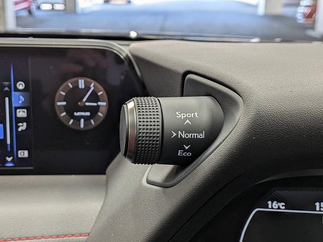 ＵＸ ＵＸ２５０ｈ　Ｆスポーツ　赤革シート／純正１０．３型ナビ地デジ／バックカメラ／ＥＮＫＥＩ１８インチＡＷ／追従クルコン／ＢＳＭ／パワーシート／シートヒーター／電動リアゲート／ＬＥＤヘッドライト／ＥＴＣ／オートハイビーム（41枚目）