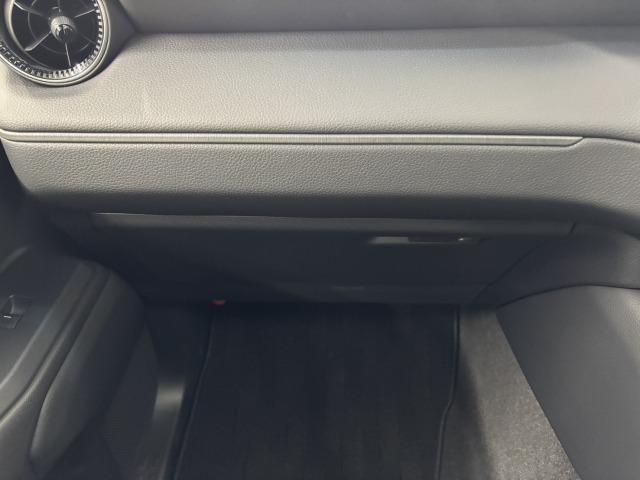 ランドクルーザー250 VX サンルーフ/トヨタチームメイト/純正12.3型ナビ地デジ/全周囲/寒冷地仕様/デジタルインナーミラー/黒革/シートベンチレーション/BSM/追従クルコン/パワーバックドア/オートハイビーム/ETC(35枚目)