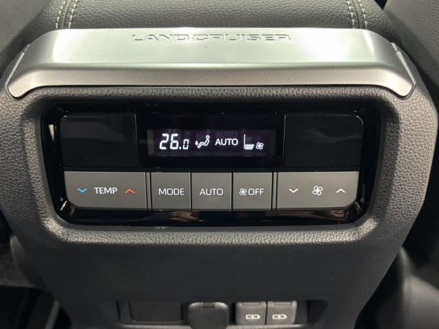 ランドクルーザー250 VX サンルーフ/トヨタチームメイト/純正12.3型ナビ地デジ/全周囲/寒冷地仕様/デジタルインナーミラー/黒革/シートベンチレーション/BSM/追従クルコン/パワーバックドア/オートハイビーム/ETC(43枚目)