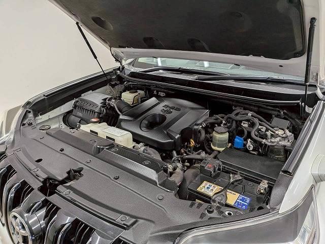 ランドクルーザープラド TX ワンオーナー/サンルーフ/ブラックルーフレール/純正ナビ/地デジ/バックカメラ/センターデフロック/ダウンヒルアシスト/ETC/LEDヘッドライト/オートライト/ヘッドライトウォッシャー/スマートキー(18枚目)