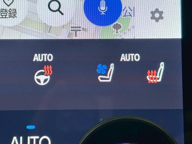 アルファードハイブリッド Z ユニバーサルステップ/純正14型ナビ/全周囲/黒革/左右独立ムーンルーフ/パワーシート/シートベンチレーション/デジタルインナーミラー/追従クルコン/BSM/両側電動/電動リアゲート/ETC(63枚目)