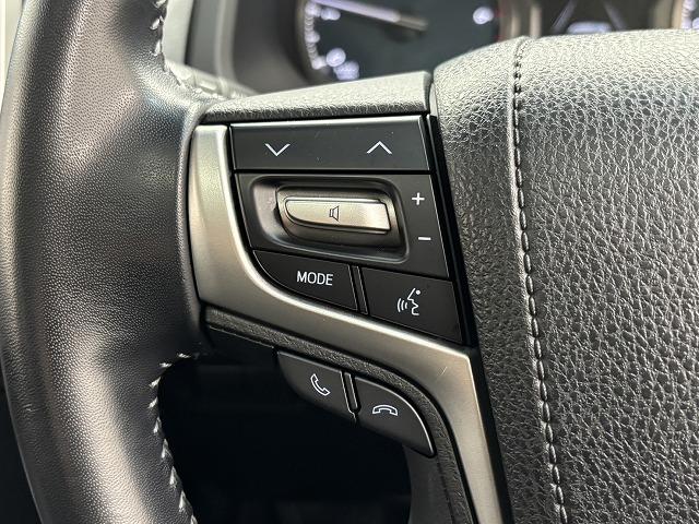 ランドクルーザープラド ＴＸ　Ｌパッケージ　サンルーフ／全周囲／純正ナビ地デジ／黒革／純正ＯＰ１９インチＡＷ／シートベンチレーション／パワーシート／ＢＳＭ／追従クルコン／オートハイビーム／クリアランスソナー／衝突軽減／ＥＴＣ／ＬＥＤヘッドライト（49枚目）