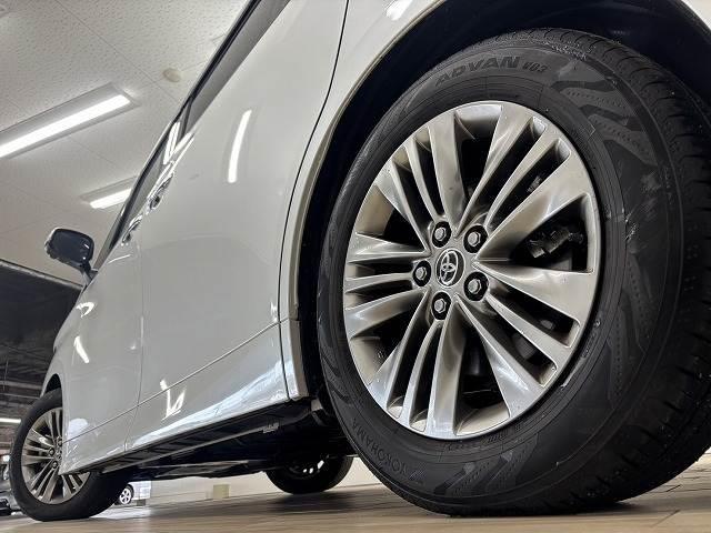 �����P�W�C���`�A���~�z�C�[�������I�I