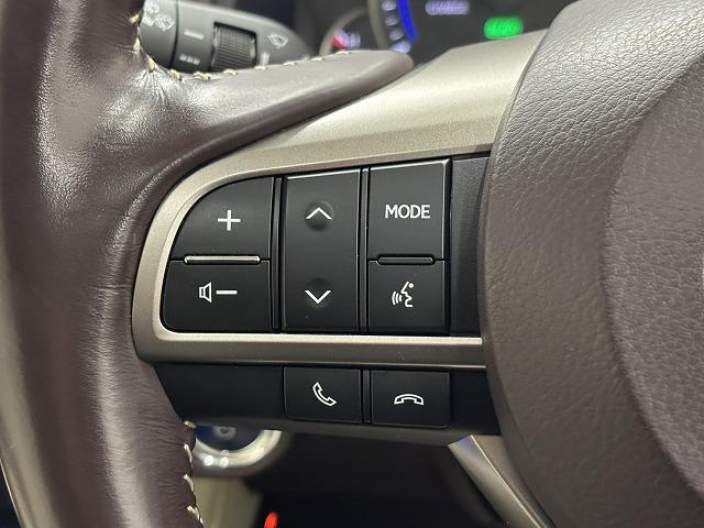 RX RX450h “version L” サンルーフ/純正12.3インチナビ/全方位カメラ/白革/シートベンチレーション/レーダークルコン/パワーバックドア/パワーシート/シートメモリー/BSM/ETC/地デジ/Bluetooth(50枚目)