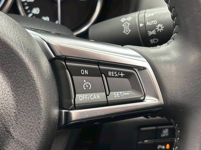 �y�N���[�Y�R���g���[���z�A�N�Z���y�_���𓥂܂��ɐݒ肵���ԑ���ۂ����o���܂��B�����^�]�⃍���O�h���C�u�Ŋ��􂵂܂��B