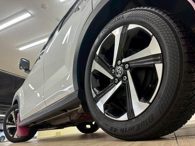 �����P�V�C���`�A���~�z�C�[�������I�I