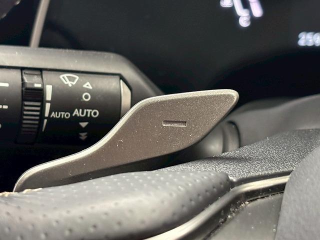 ＲＸ ＲＸ５００ｈ　Ｆスポーツパフォーマンス　サンルーフ／純正１４インチナビ／全方位カメラ／ベンチレーション／レーダークルコン／レーンキープアシスト／パワーバックドア／パーキングアシスト／パワーシート／シートメモリー／ＢＳＭ／ＥＴＣ２．０（54枚目）