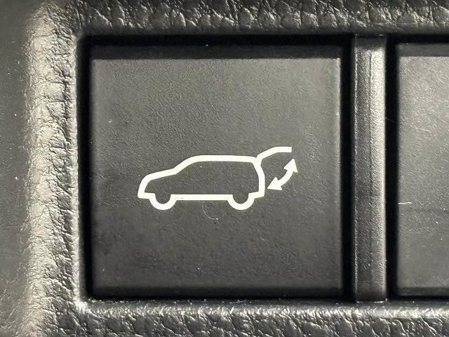 ハリアー Ｇ　デジタルインナーミラー／レーダークルコン／レーンキープアシスト／パワーバックドア／パワーシート／ハーフレザー／純正ナビ／地デジ／バックカメラ／ＢＳＭ／ＥＴＣ／ＬＥＤヘッドライト／オートハイビーム（10枚目）