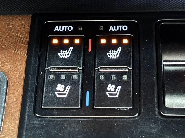 �y�V�[�g�x���`���[�V�����z�V�[�g���g�����Ȃ�����������Ȃ�܂��B�����G�߂⊦���G�߂ɂ��ꂵ�������ł��I