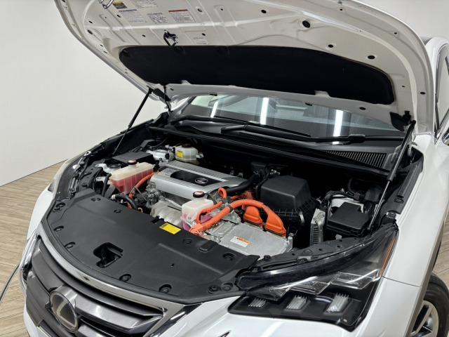 ���₢���킹�͂O�P�Q�O�|�V�O�|�S�O�X�Q�܂ŁB���X�����炱���̒m���E�o���L�x�ȁA�n�������X�^�b�t�B���A���q�l�ɓK�����������ē��v���܂��B