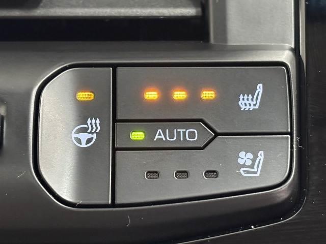 �y�V�[�g�x���`���[�V�����z�V�[�g���g�����Ȃ�����������Ȃ�܂��B�����G�߂⊦���G�߂ɂ��ꂵ�������ł��I