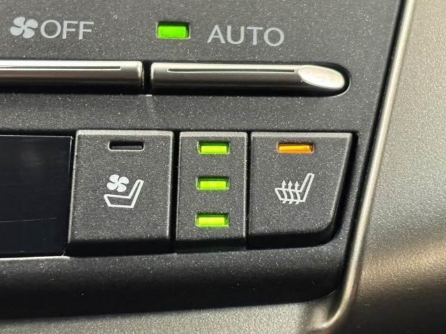 �y�V�[�g�x���`���[�V�����z�V�[�g���g�����Ȃ�����������Ȃ�܂��B�����G�߂⊦���G�߂ɂ��ꂵ�������ł��I