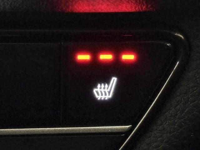 �y�V�[�g�q�[�^�[�z�����G�߂⑁���ɂ���Ƃ��ꂵ�������ł���