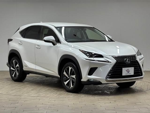 ���Ԃ����񎞂̕t�ї��͋����̂X�O���n�u�d�q�B�f�n�n�c�@�r�o�d�d�c�����̃X�[�p�[�K���X�R�[�e�B���O�B���Ⴆ��قǂ̋P��������A�[�Ԍ�̃����e�i���X���y�X�B�����x�������������B