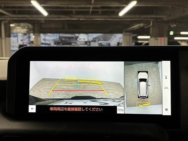 �y�S���ʃ��j�^�[�z�@�N���}����󂩂猩���낵�Ă��邩�̂悤�ɁA�����I�Ɏ��͂̏󋵂�c���ł��܂��B