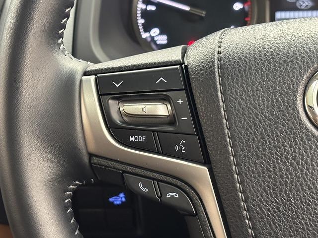 ランドクルーザープラド ＴＸ　Ｌパッケージ　７０ｔｈアニバーサリーリミテッド　サンルーフ／黒ルーフレール／茶革／純正９インチナビ／全周囲／ベンチレーション／追従クルコン／レーンキープアシスト／パワーシート／ＬＥＤヘッドライト／オートハイビーム／ＢＳＭ／ＥＴＣ（50枚目）