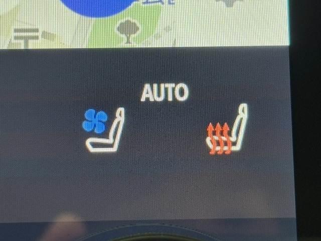 �y�V�[�g�x���`���[�V�����z�V�[�g���g�����Ȃ�����������Ȃ�܂��B�����G�߂⊦���G�߂ɂ��ꂵ�������ł��I