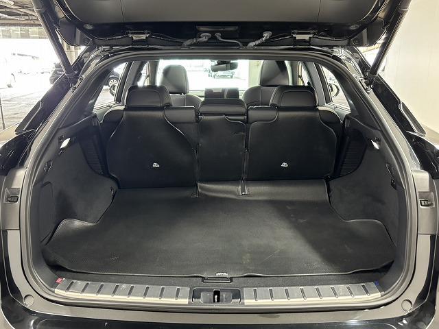 RX RX450h “F SPORT” パノラマルーフ/全周囲/黒革シート/三眼LEDヘッドライト/純正12.3インチナビ/地デジ/追従クルコン/レーンキープアシスト/パワーバックドア/BSM/ETC/ベンチレーション/シートメモリー(46枚目)