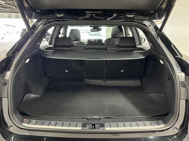 RX RX450h “F SPORT” パノラマルーフ/全周囲/黒革シート/三眼LEDヘッドライト/純正12.3インチナビ/地デジ/追従クルコン/レーンキープアシスト/パワーバックドア/BSM/ETC/ベンチレーション/シートメモリー(48枚目)